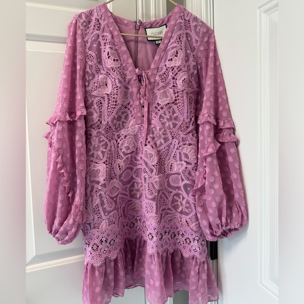 Alexis Malicha Crochet Dress